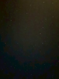 B74437E3-9850-48CA-AD16-CBCE831CE595