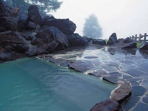 IMG_1181