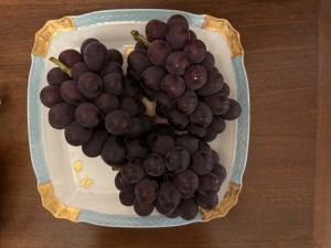 IMG_1898